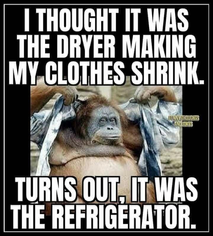 I THOUGHT IT WAS THE DRYER MAKING MY CLOTHES SHRINK. TURNS OUT, IT WAS THE REFRIGERATOR. FUNNY THOUGHTS AND JOKES