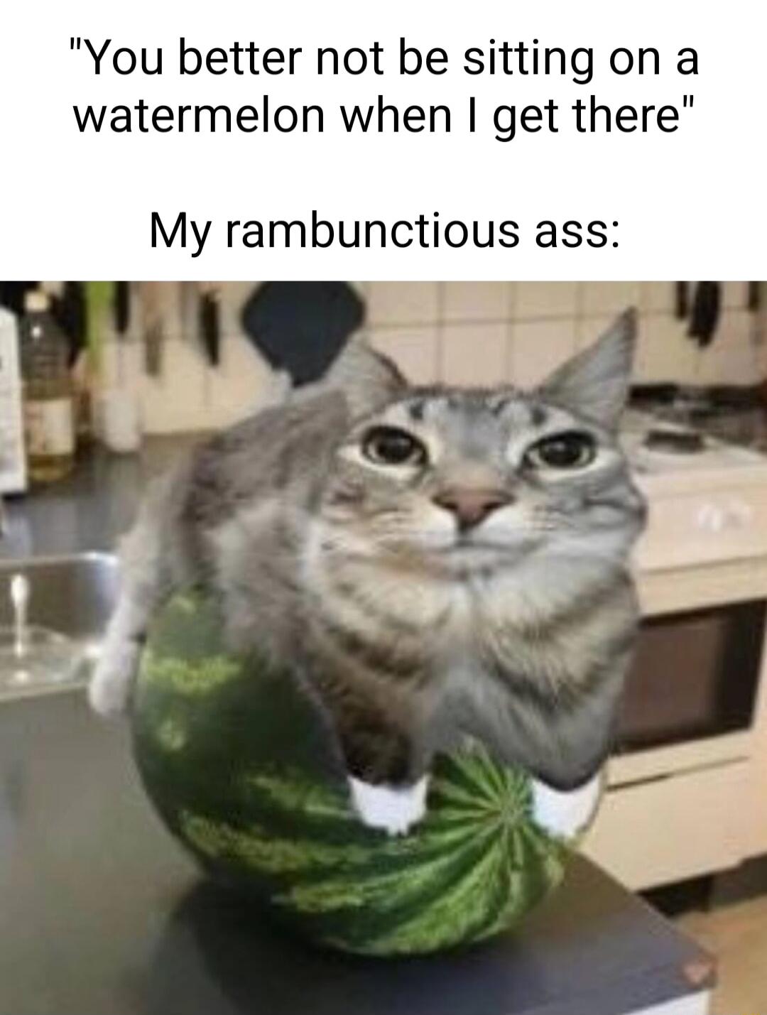 You better not be sitting on a watermelon when get there My rambunctious ass