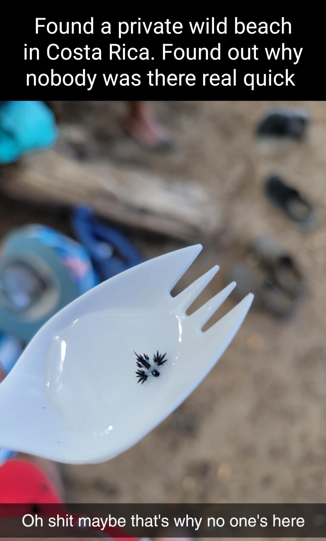 Found a private wild beach in Costa Rica Found out why 2161e Lo AVE IR a1 SR TT Ne U 1ol Oh shit maybe thats why no ones here