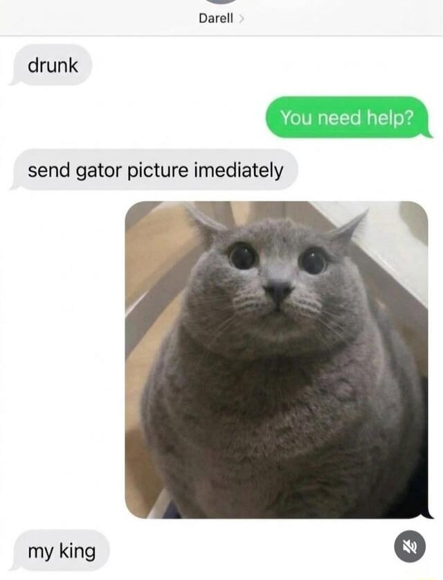Darell drunk You need help? send gator picture immediately my king