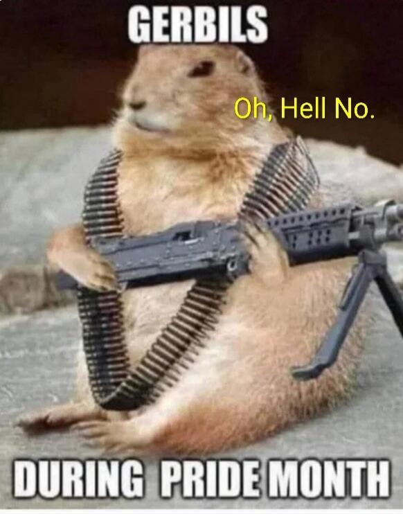 GERBILS
Oh, Hell No.
DURING PRIDE MONTH