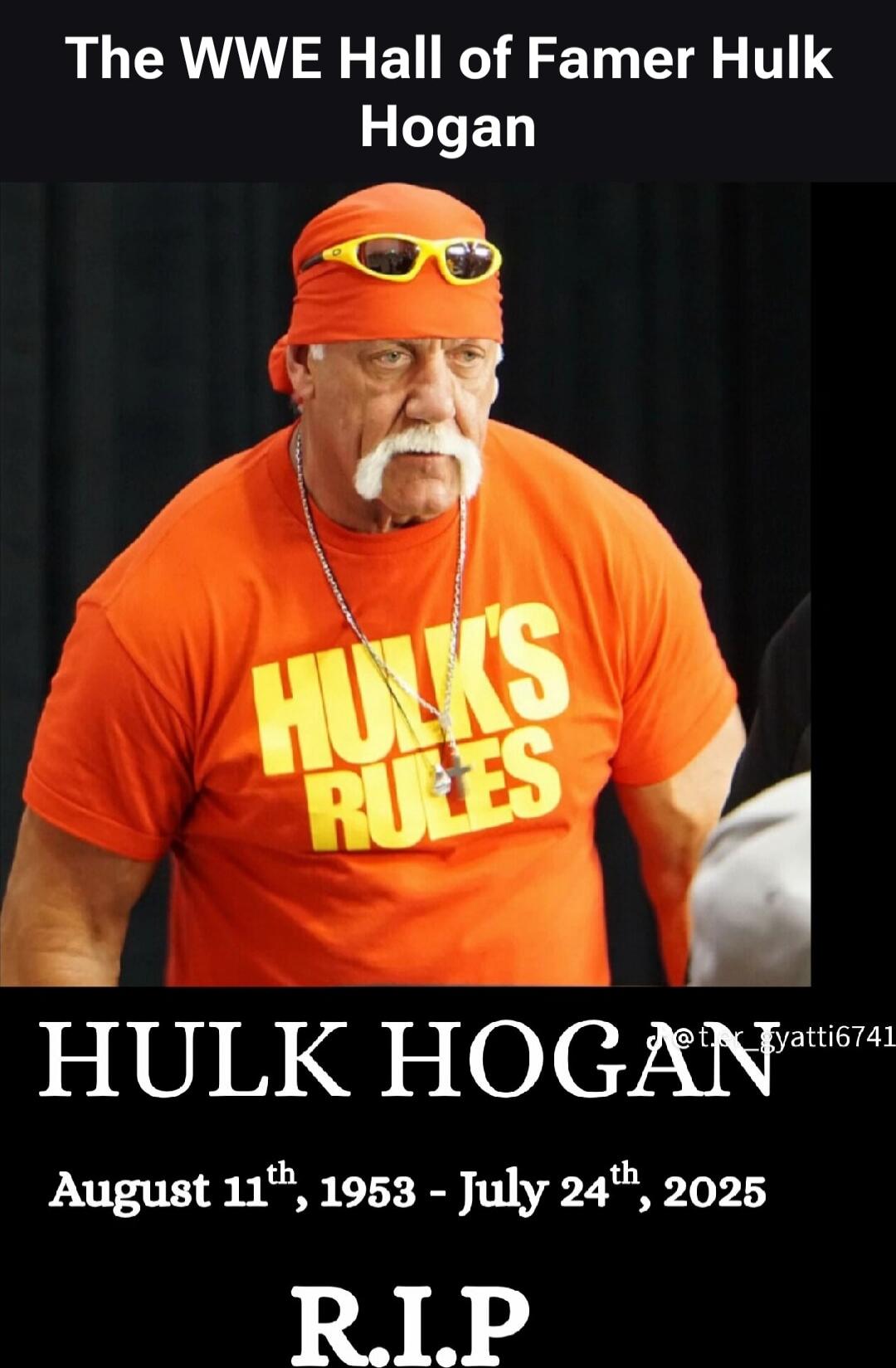 The WWE Hall of Famer Hulk Hogan
HULK HOGAN
R.I.P
August 11th, 1953 - July 24th, 2025
HULK RULES