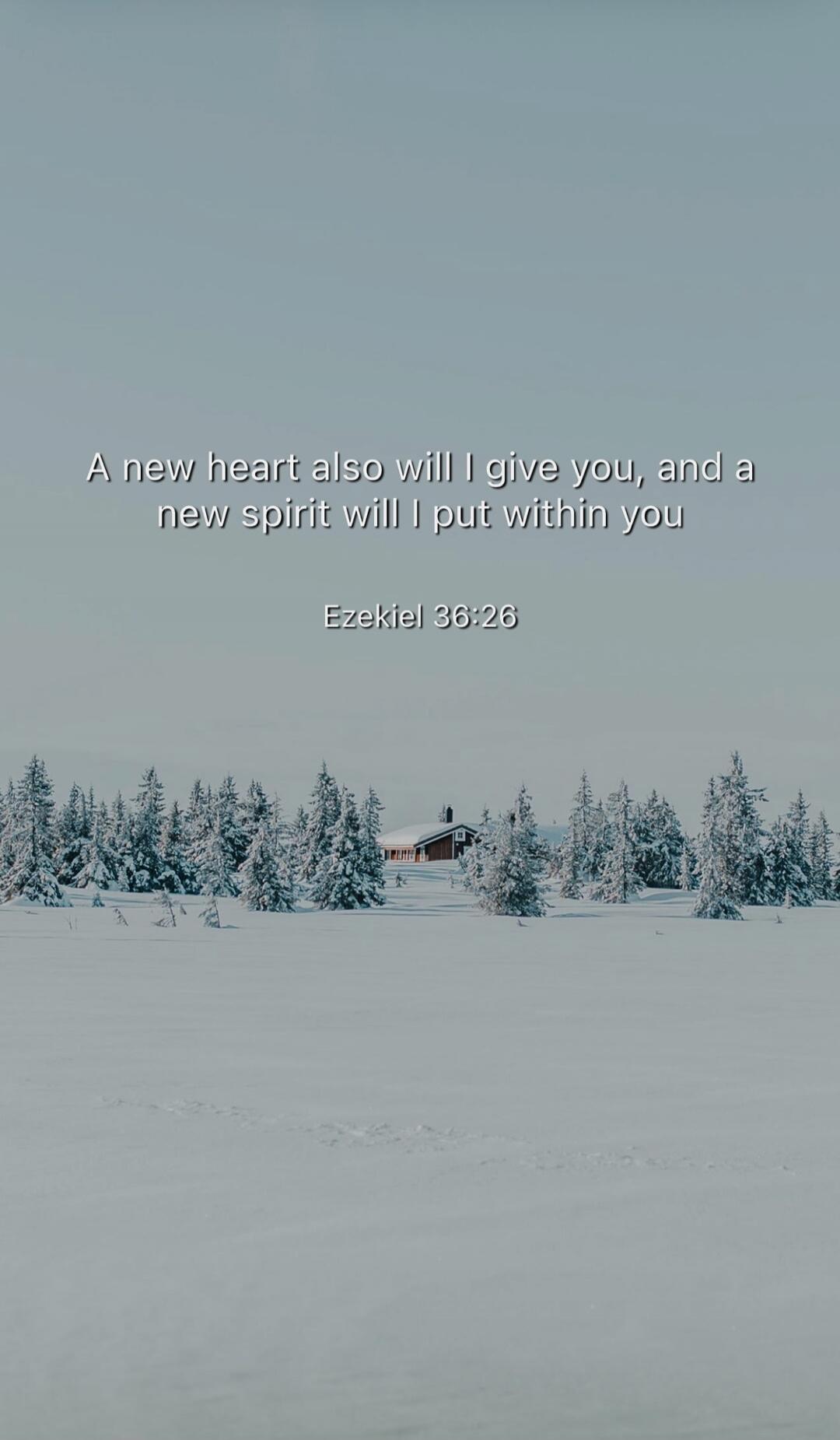 A new heart also will I give you, and a new spirit will I put within you. Ezekiel 36:26