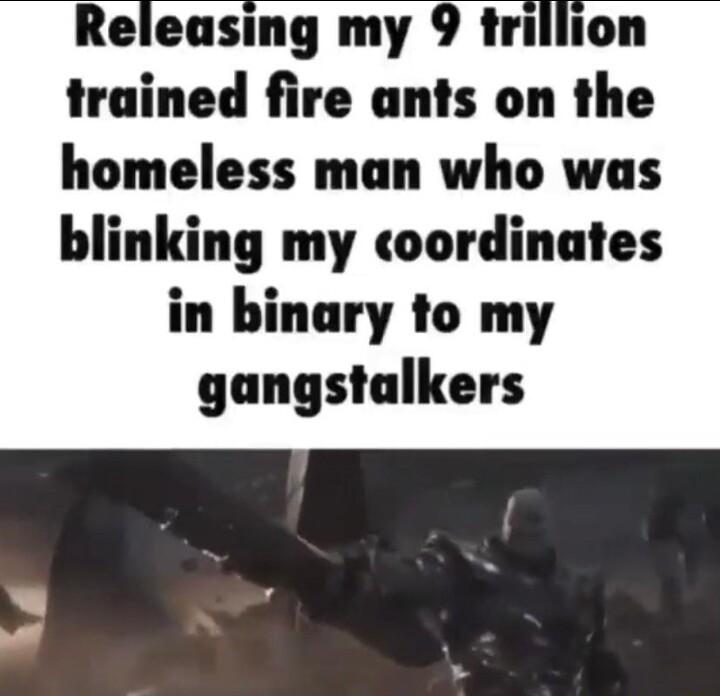 Releasing my 9 trillion trained fire ants on the homeless man who was blinking my coordinates in binary to my gangstalkers
