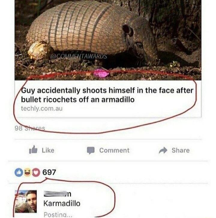uy accidentally shoots himself in the face after bullet ricochets off an armadillo e Like Comment A share