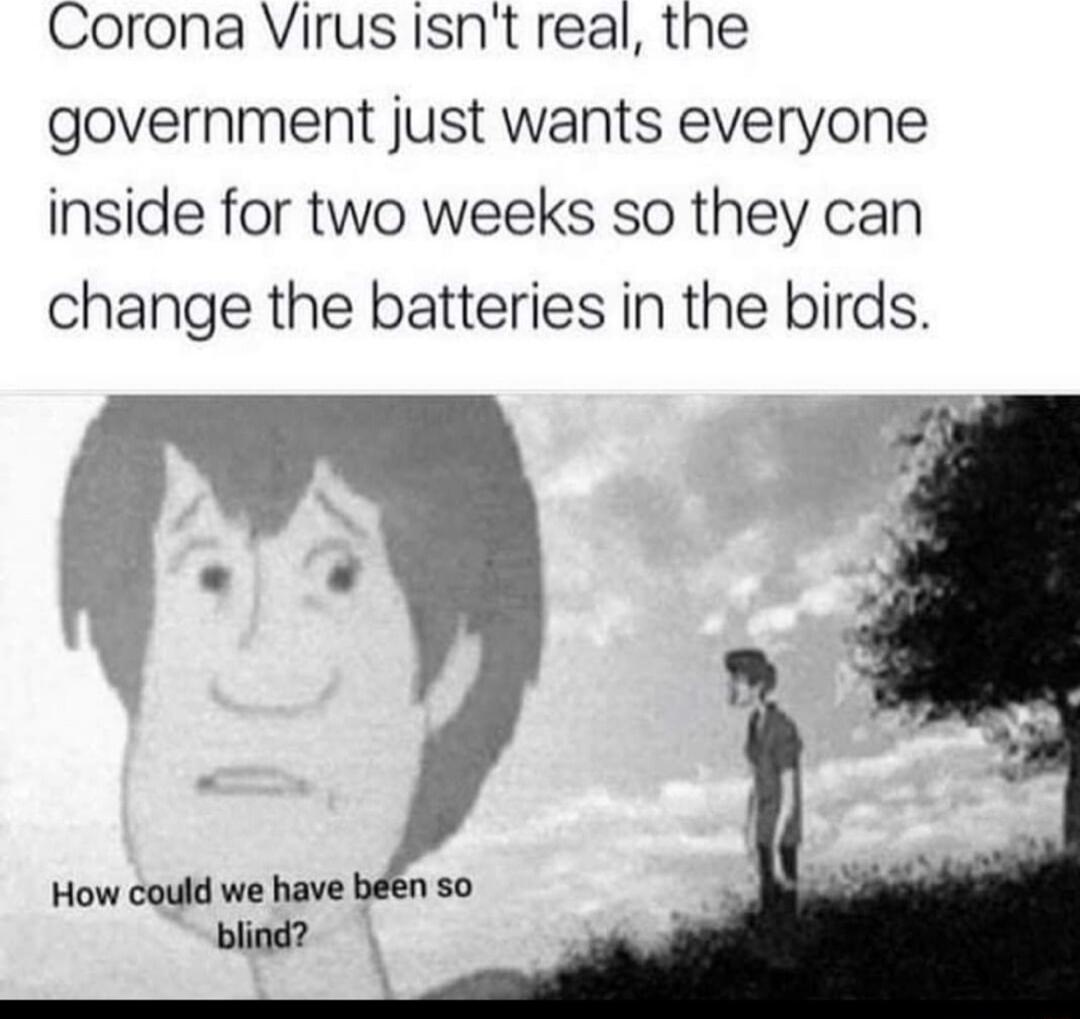 Corona Virus isnt real the government just wants everyone inside for two weeks so they can change the batteries in the birds How could we have blind