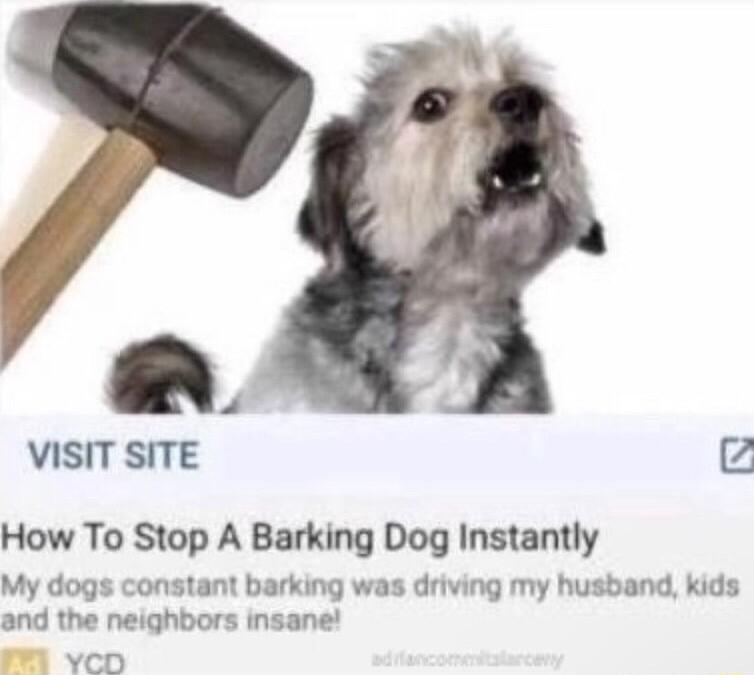 J VISIT SITE t How To Stop A Barking Dog Instantly My dogs constant barking was driving my husband kids and the neighbors insane YCD