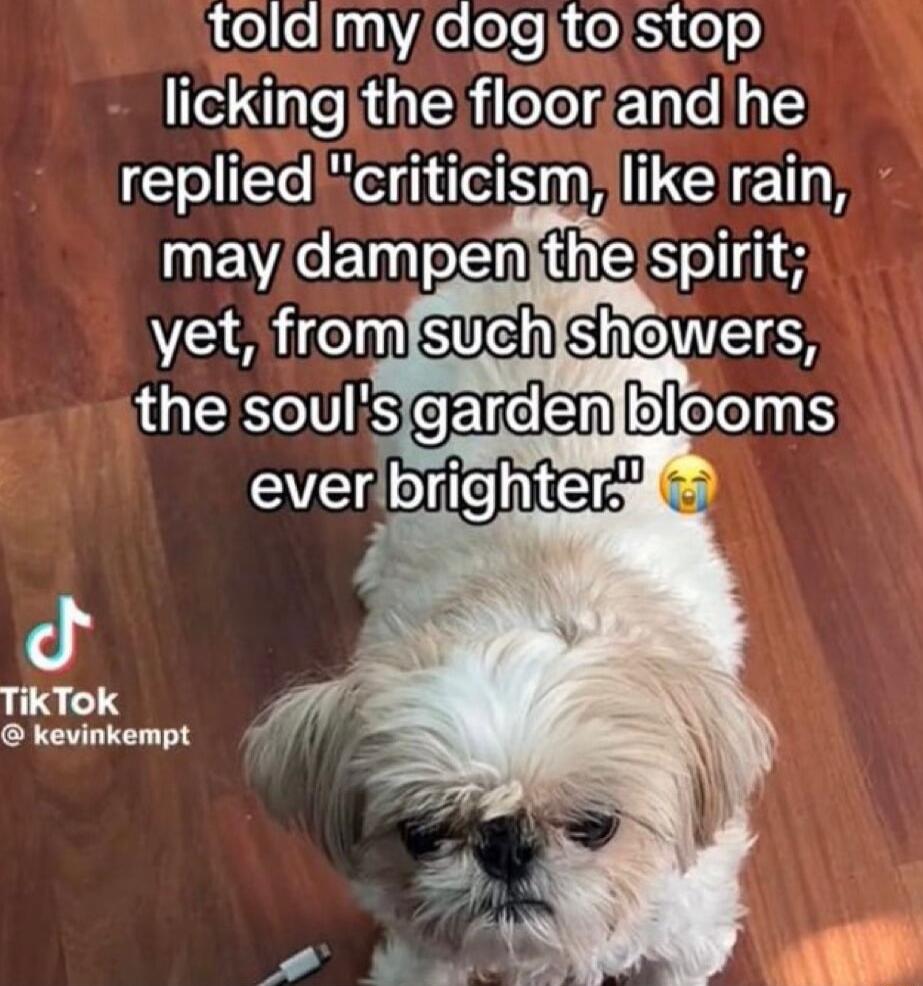 1e0f11VAeoo i o o o lickingthe flooriand he replied criticism like rain MEVCENT DSl 19 from Sueh shewers TikTok