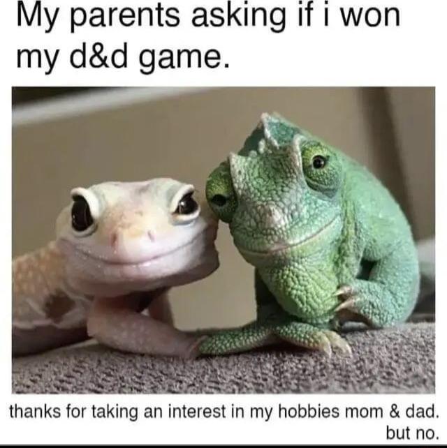 My parents asking if I won my dd game thanks for taking an interest in my hobbies mom dad but no