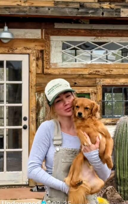 DINOSAUR MOTOR LODGE