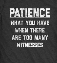 PATIENCE WHAT YOU HAVE WHEN THERE ARE TOO MANY WITNESSES