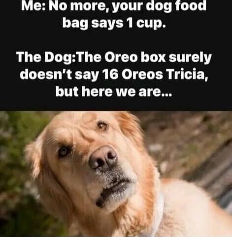 Me: No more, your dog food bag says 1 cup. The Dog: The Oreo box surely doesn't say 16 Oreos Tricia, but here we are...