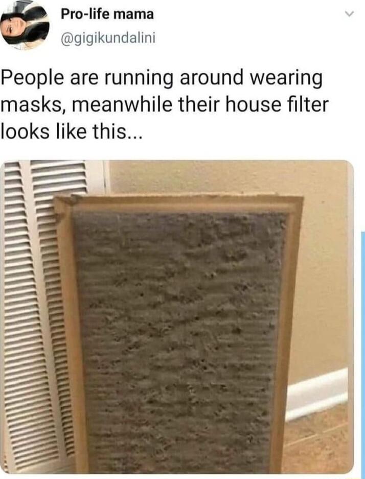 Pro life mama gigikundalini People are running around wearing masks meanwhile their house filter looks like this _