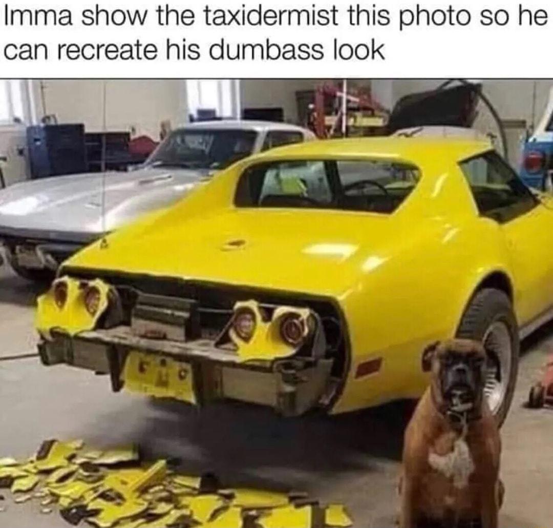 Imma show the taxidermist this photo so he can recreate his dumbass look e