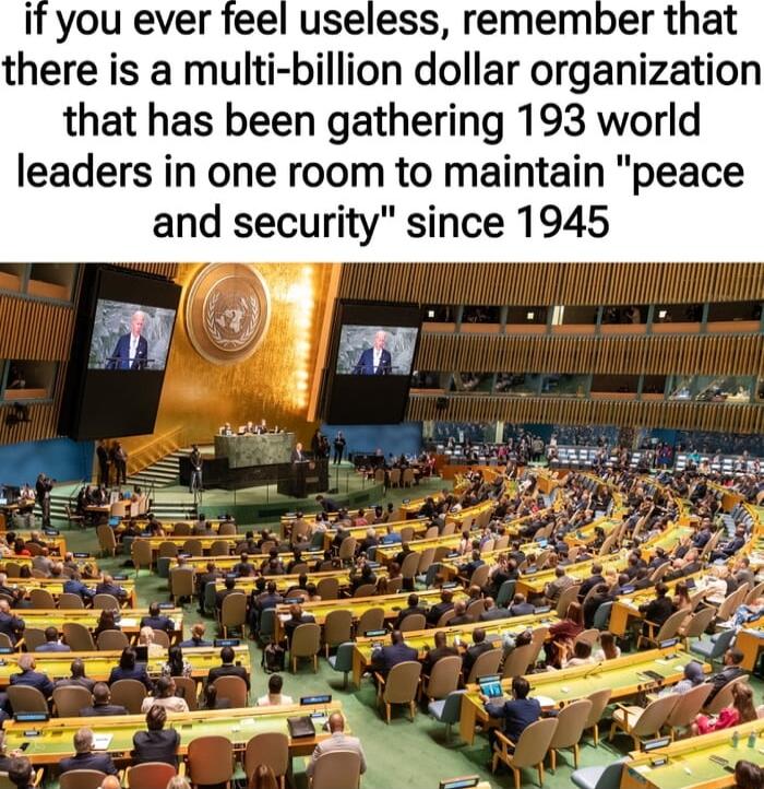 if you ever feel useless remember that there is a multi billion dollar organization that has been gathering 193 world leaders in one room to maintain peace and security since 1945
