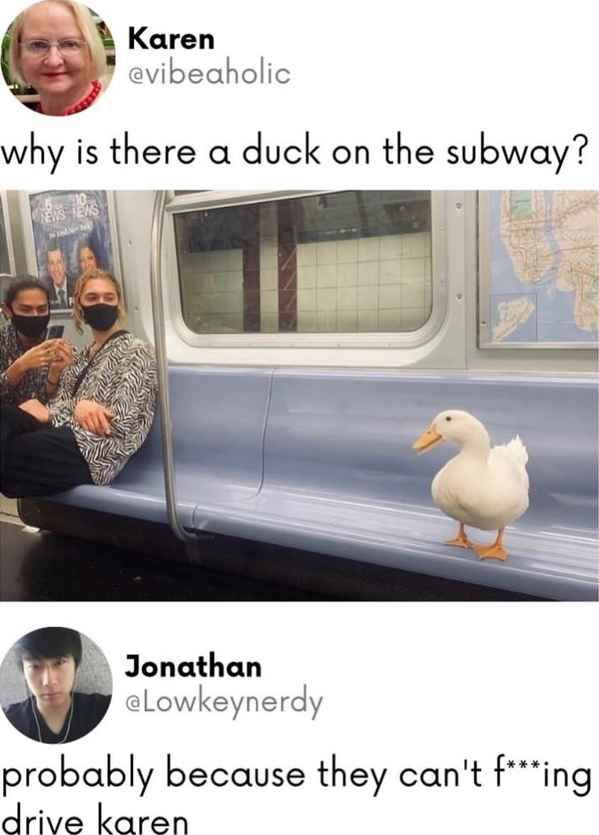 Karen evibeaholic why is there a duck on the subway Jonathan elLowkeynerdy probably because they cant fing drive karen