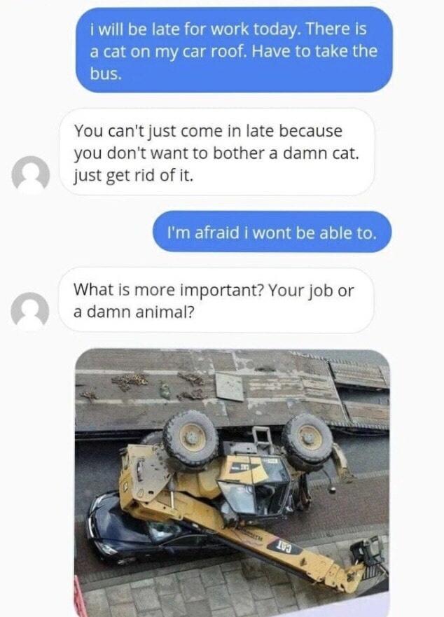 You cant just come in late because you dont want to bother a damn cat just get rid of it wont be able to What is more important Your job or adamn animal