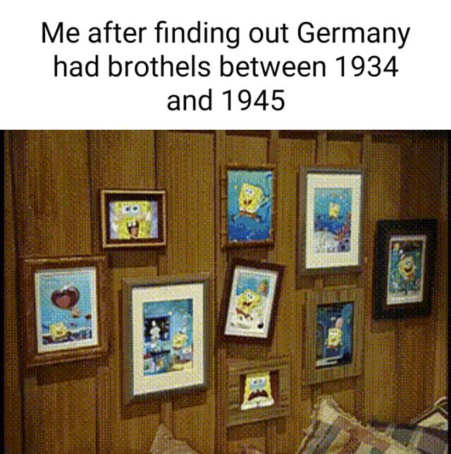 Me after finding out Germany had brothels between 1934