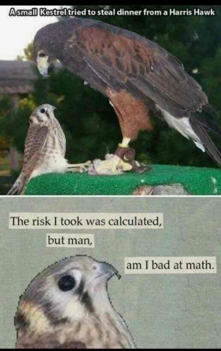 The risk I took was calculated but man