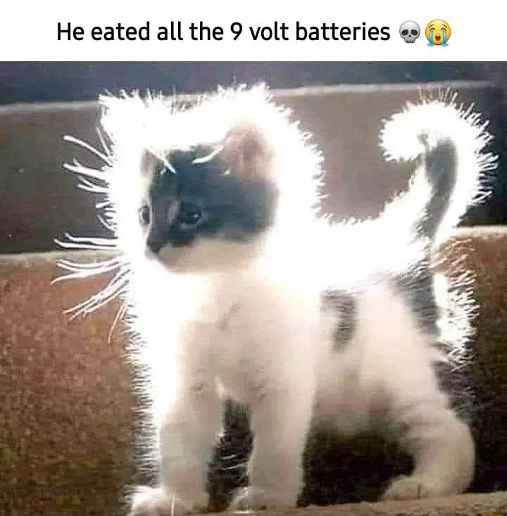 He eated all the 9 volt batte 7