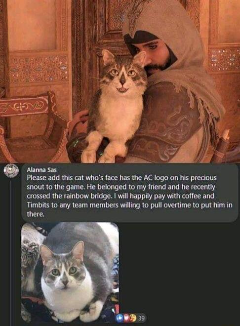 N id Alanna Sas Please add this cat whos face has the AC logo on his precious snout to the game He belonged to my friend and he recently crossed the rainbow bridge will happily pay with coffee and Timbits to any team members willng to pull overtime to put him in