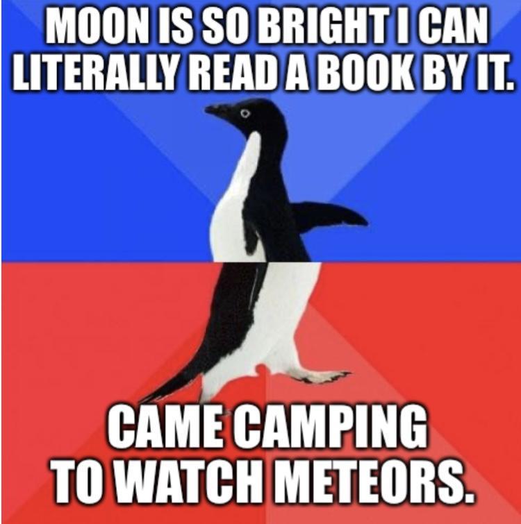 MOONISSO BRIGHT CAN LITERALLY READ A BOOKBY IT J CAME CAMPING T0 WATCHMETEORS