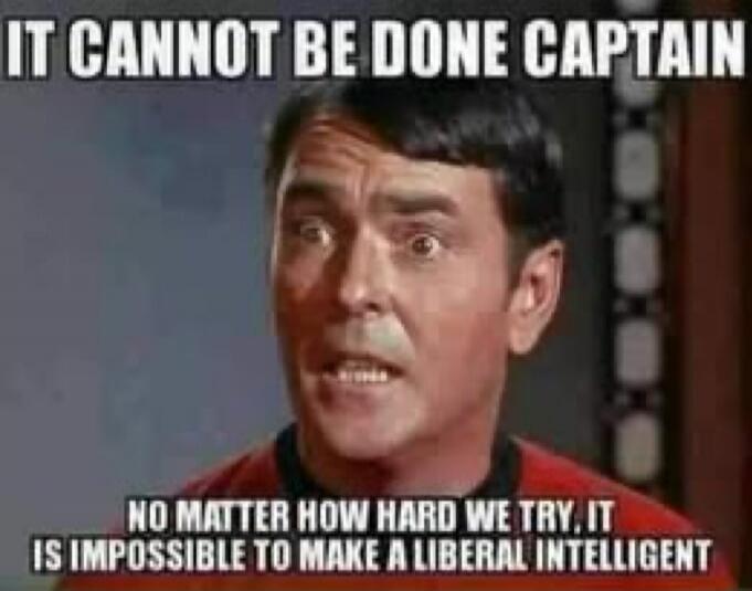 IT CANNOT BE DONE CAPTAIN NO MATTER HOW HARD WE TRY, IT IS IMPOSSIBLE TO MAKE A LIBERAL INTELLIGENT