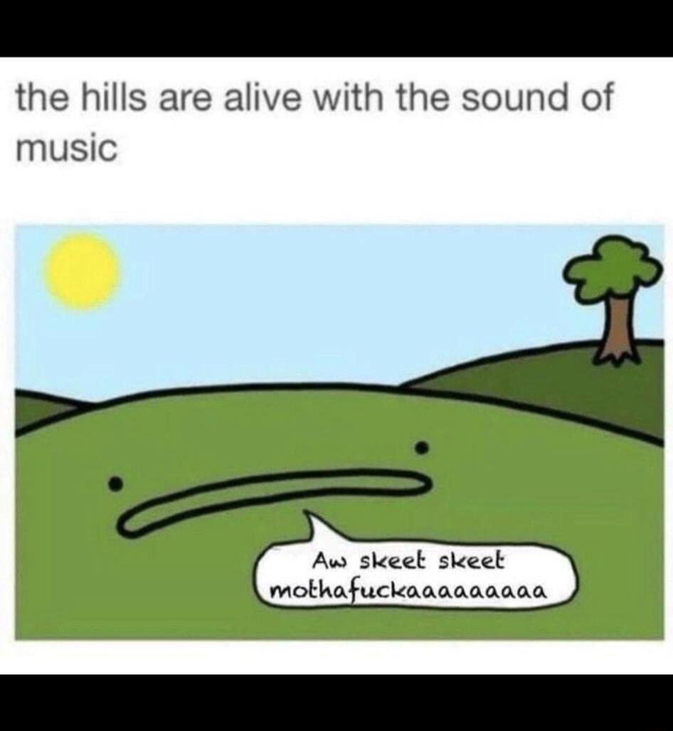 the hills are alive with the sound of music i Aw skeel skeeb mothafuckaaaaaaaaa