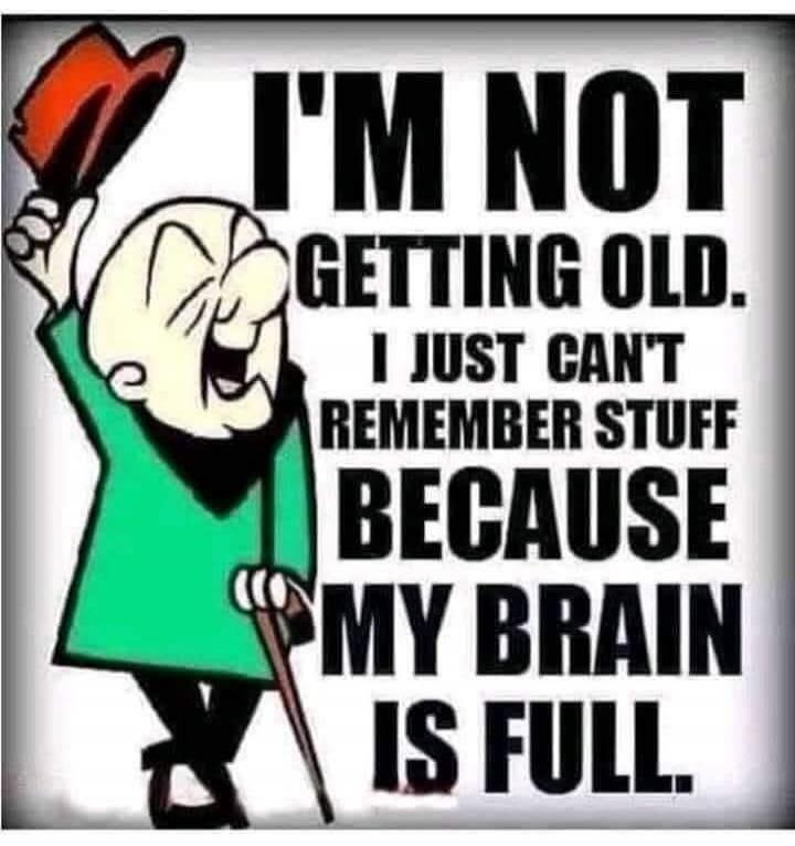 I'M NOT GETTING OLD. I JUST CAN'T REMEMBER STUFF BECAUSE MY BRAIN IS FULL.