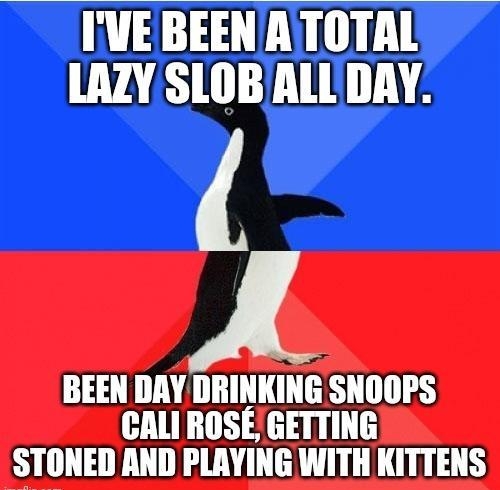 IVE BEEN A TOTAL LAZY SLOBALLDAY BEEN DAY DRINKING SNOOPS CALI ROSE GETTING STONED AND PLAYING WITH KITTENS