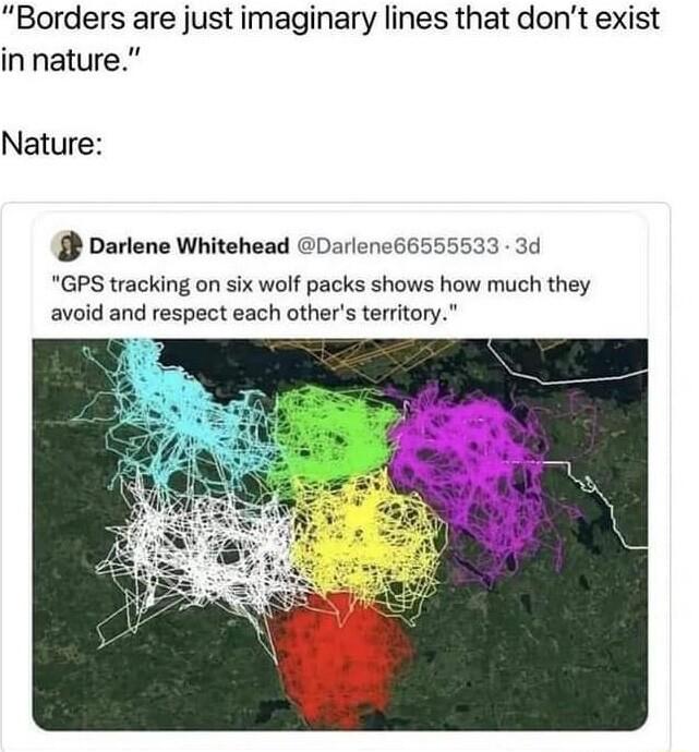 Borders are just imaginary lines that dont exist in nature Nature parlene Whitehead Darlene66555533 3d GPS tracking on six wolf packs shows how much they avoid and respect each others territory