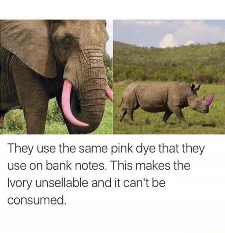 They use the same pink dye that they use on bank notes. This makes the Ivory unsellable and it can't be consumed.