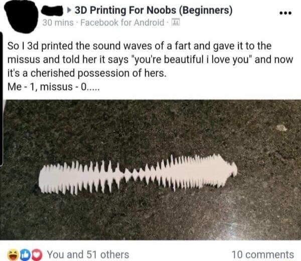 QB 3D Printing For Noobs Beginners So013d printed the sound waves of a fart and gave it to the missus and told her it says youre beautiful i love you and now its a cherished possession of hers Me 1 missus 0