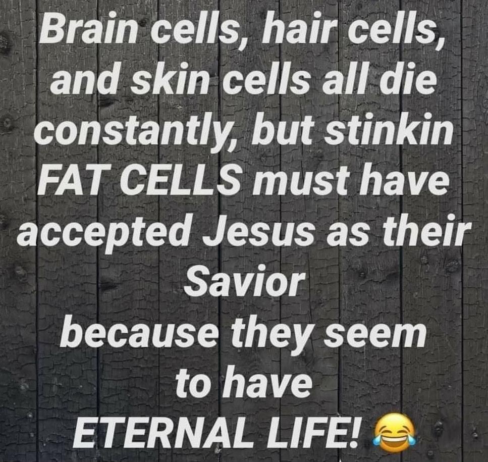 Brain cells hair cells and skin cells all die constantly but stinkin FAT CELLS must have G o o 1o B X TR T 1 Savior because they seem to have ETERNAL LIFE 2