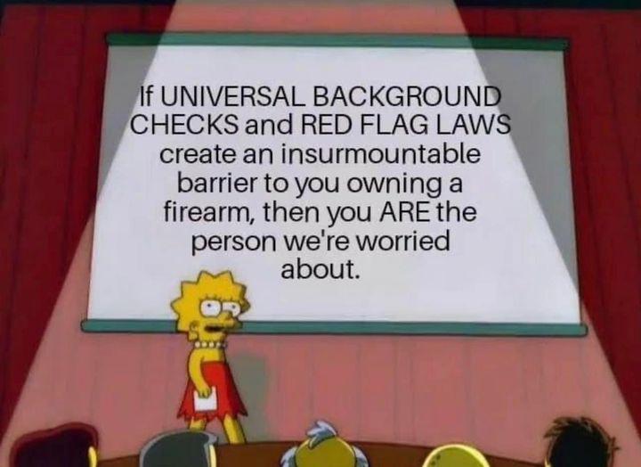 f UNIVERSAL BACKGROUND CHECKS and RED FLAG LAWS create an insurmountable barrier to you owning a firearm then you ARE the person were worried about