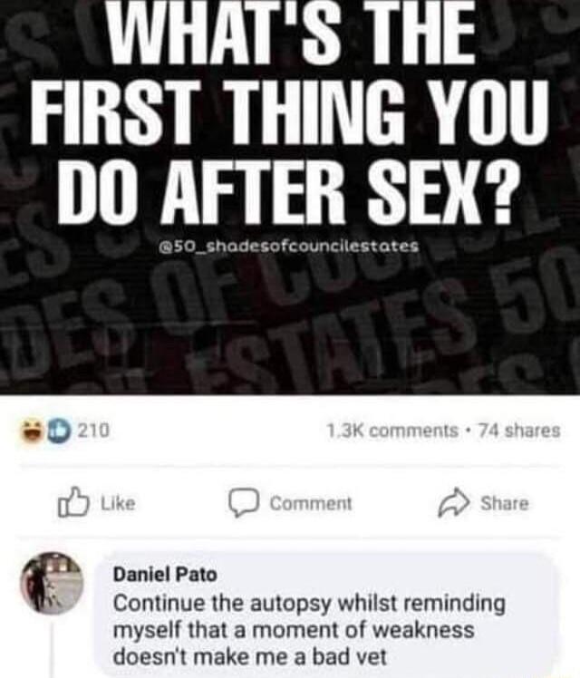 FIRST THING YOU DO AFTER SEX Daniel Pato Continue the autopsy whilst reminding myself that a moment of weakness doesnt make me a bad vet