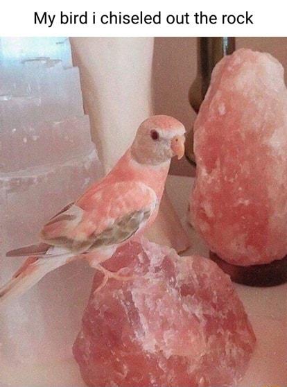 My bird i chiseled out the rock