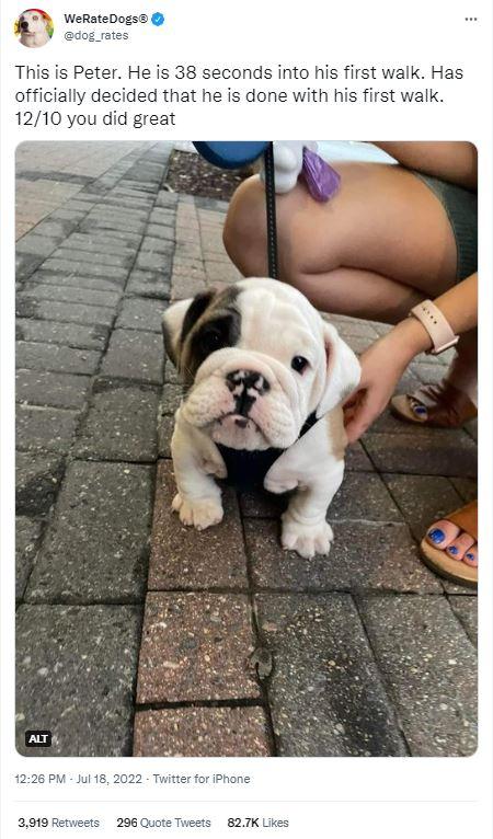 nds into his first w done with his fir