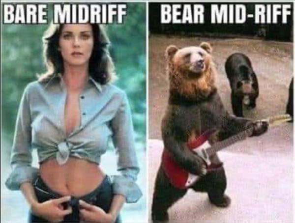 BIBE MIDRIFF BEAR MID RIFF
