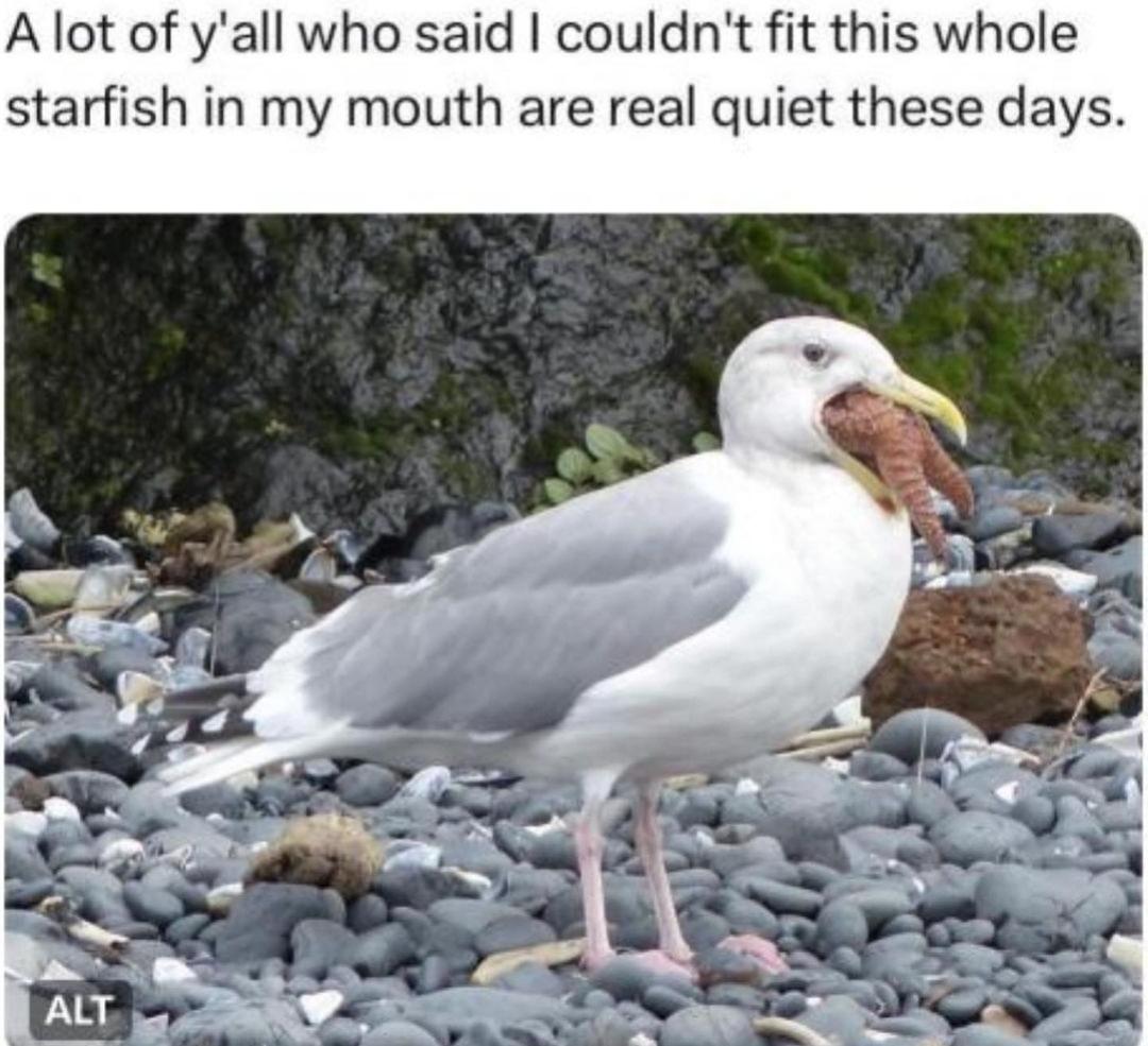 A lot of yall who said couldnt fit this whole starfish in my mouth are real quiet these days