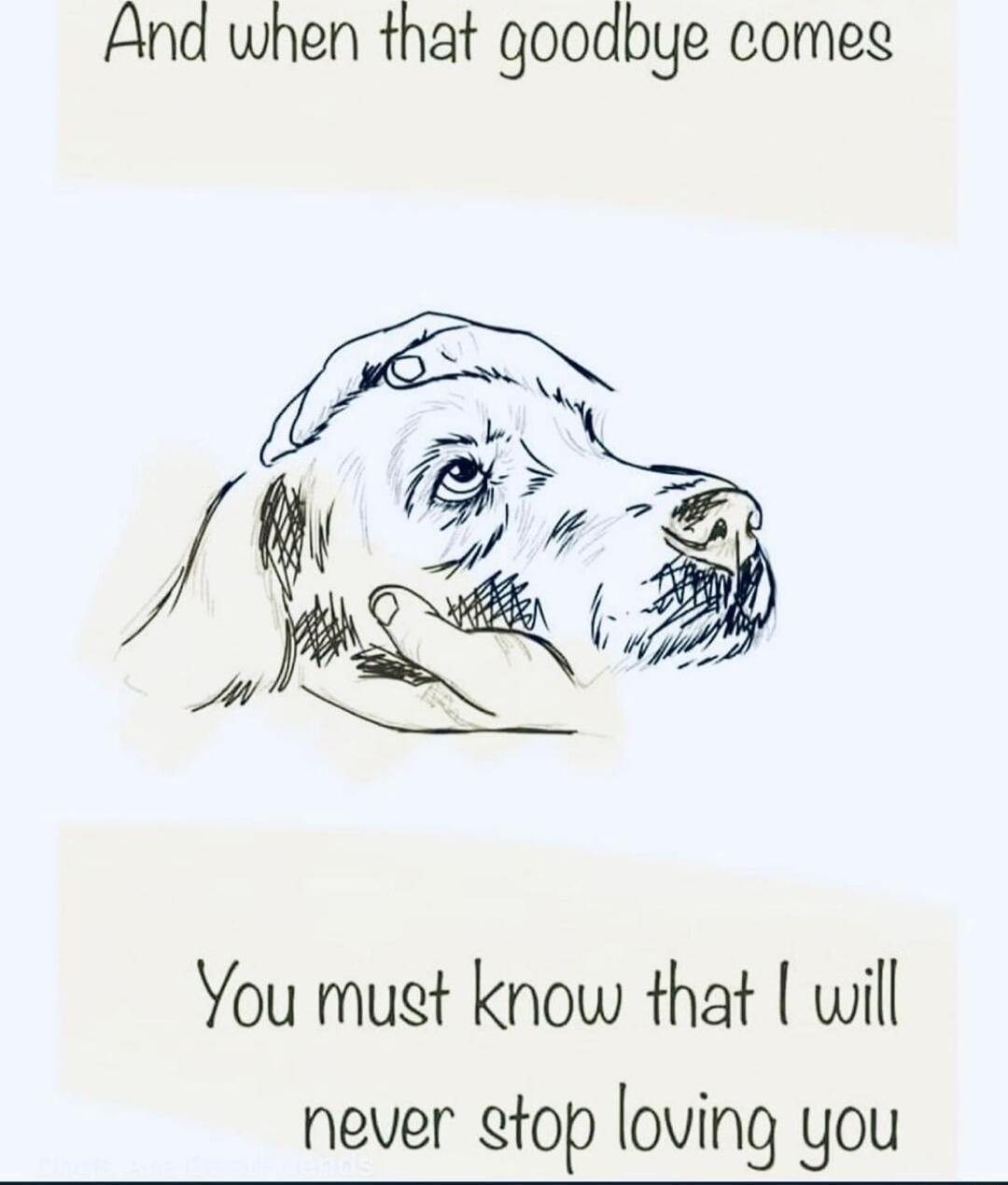 And wnen that goodbye comes You mugt know that will never stop loving you