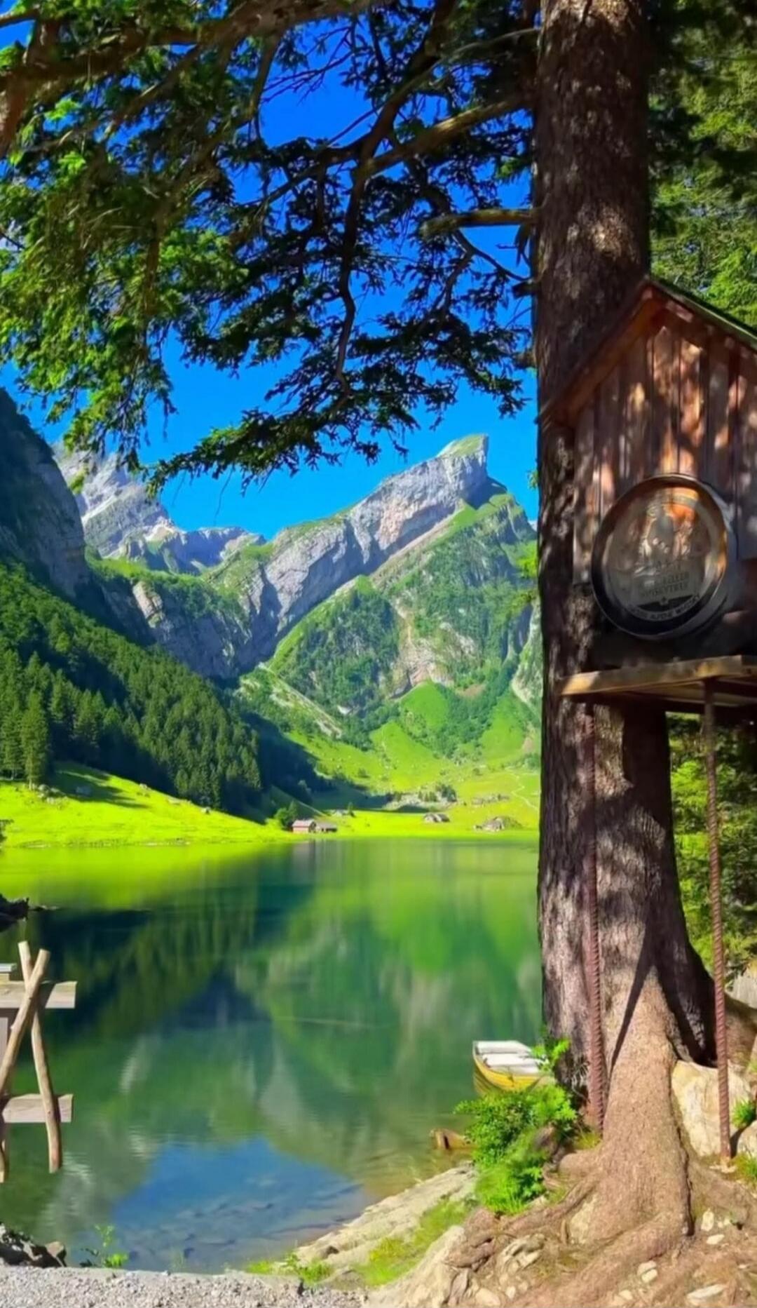 Scenic alpine lake with bright green meadows, towering mountains in the background, a large tree, a small wooden hut attached to the tree, and a small boat on the calm water.