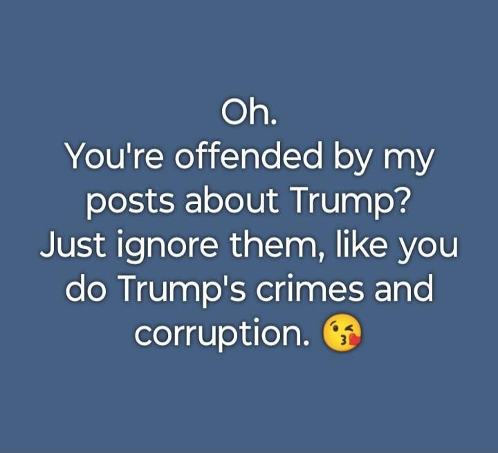 Oh. You're offended by my posts about Trump? Just ignore them, like you do Trump's crimes and corruption. 😘