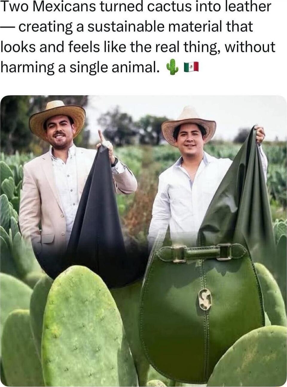 Two Mexicans turned cactus into leather — creating a sustainable material that looks and feels like the real thing, without harming a single animal. 🌵🇲🇽