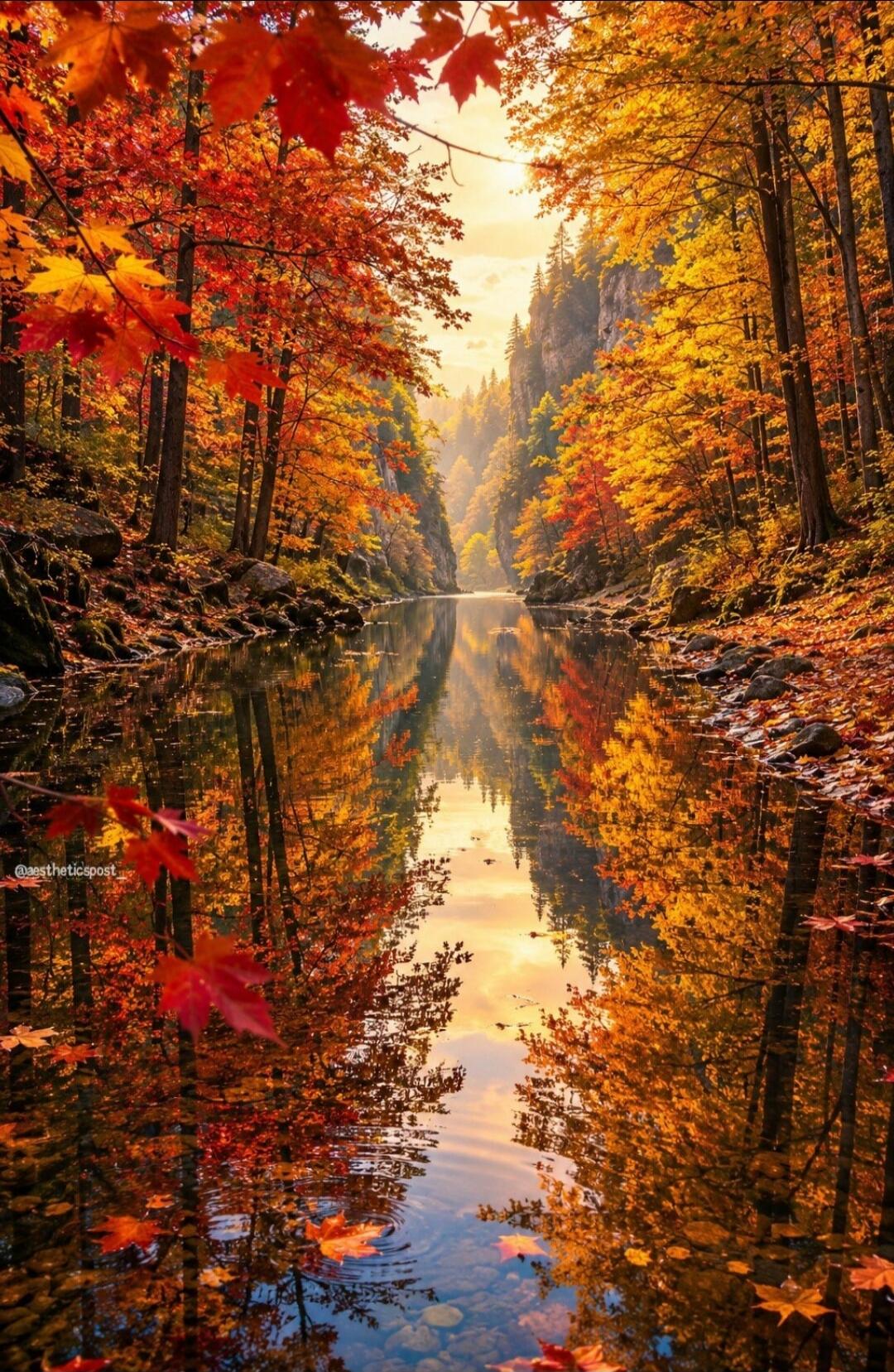@aestheticpost