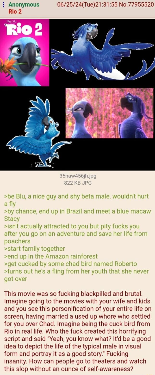 i Anonymous 062524Tue213155 No77955520 Rio 2 be Blu a nice guy and shy beta male wouldnt hurt afly by chance end up in Brazil and meet a blue macaw Stacy isnt actually attracted to you but pity fucks you after you go on an adventure and save her life from poachers start family together end up in the Amazon rainforest get cucked by some chad bird named Roberto turns out hes a fling from her youth t