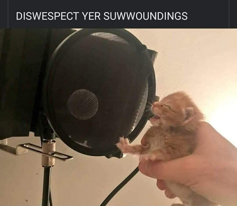 LETR Y Sep13 Q DISWESPECT YER SUWWOUNDINGS