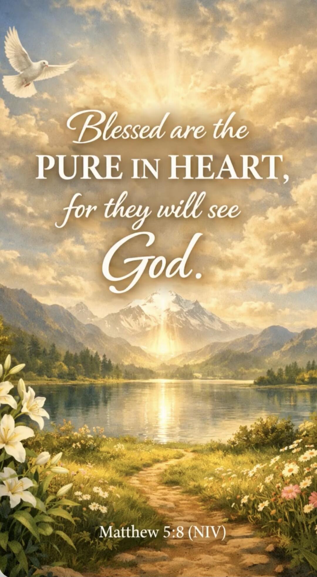 Blessed are the PURE IN HEART, for they will see God. Matthew 5:8 (NIV)