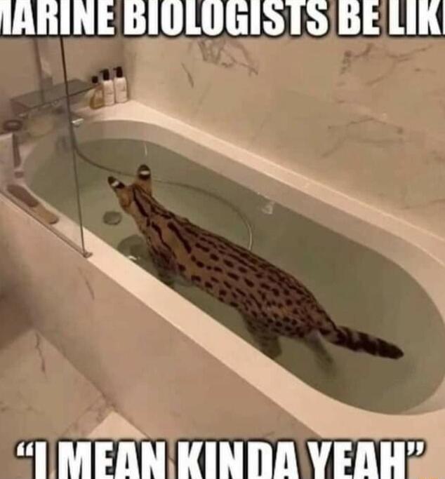 IARINE BIOLOGIS IO BELIN 3 rS ST T TN P