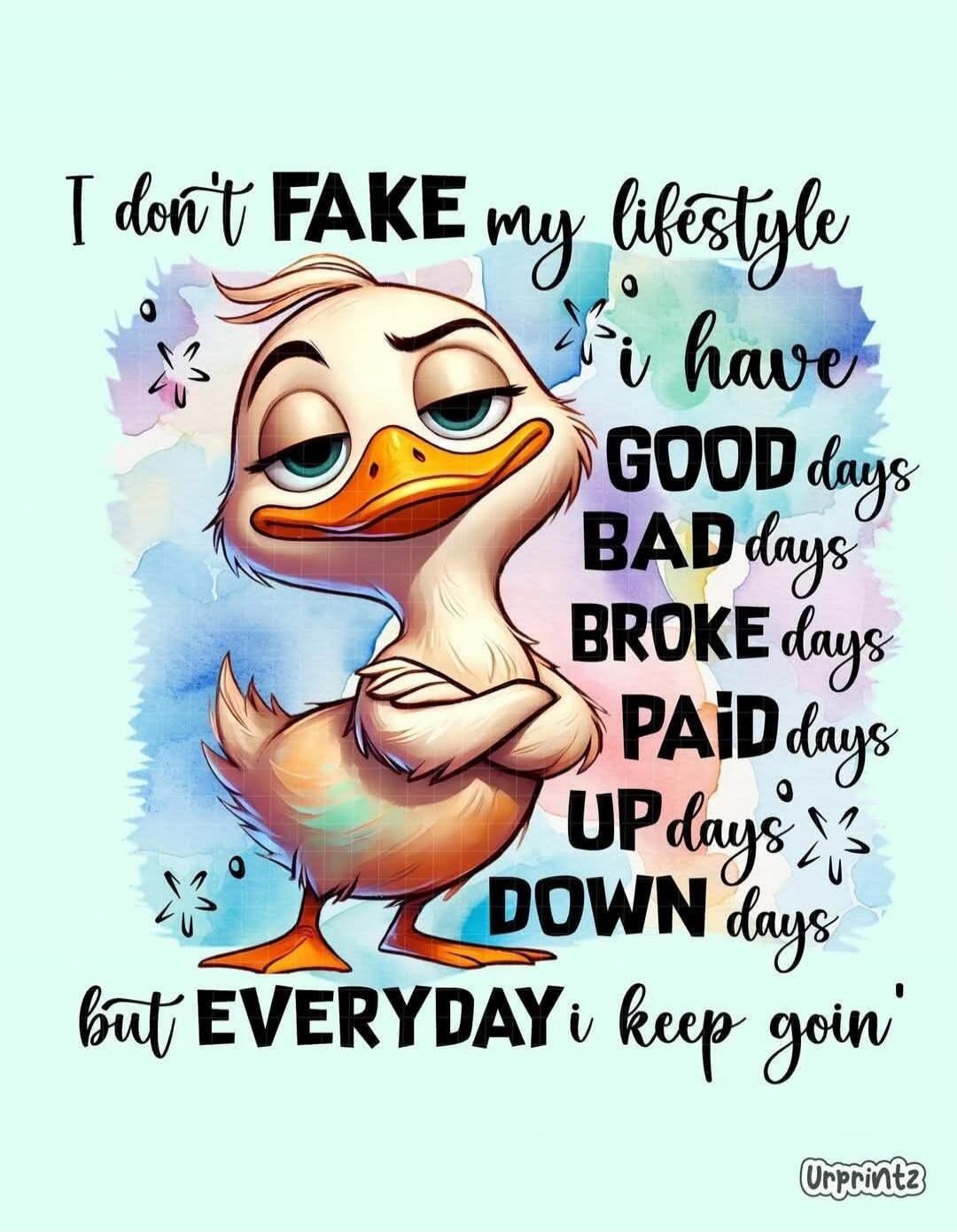 I don't FAKE my lifestyle i have GOOD days BAD days BROKE days PAID days UP days DOWN days but EVERYDAY i keep goin'